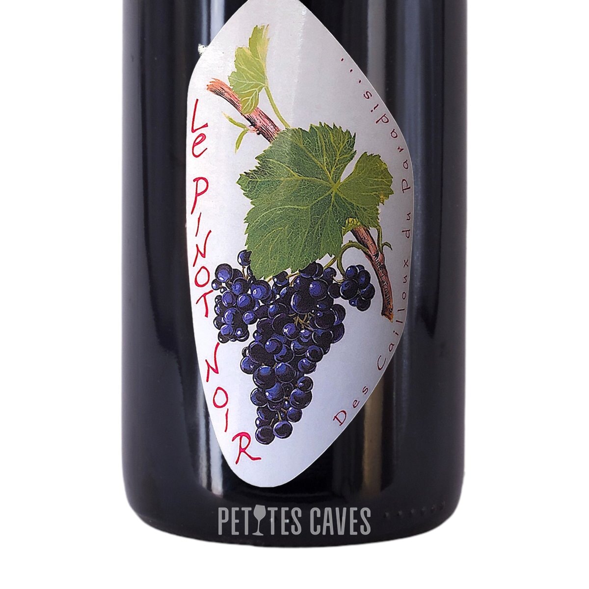 Pinot Noir 2022 - Vin de France - Les Cailloux du Paradis zoom