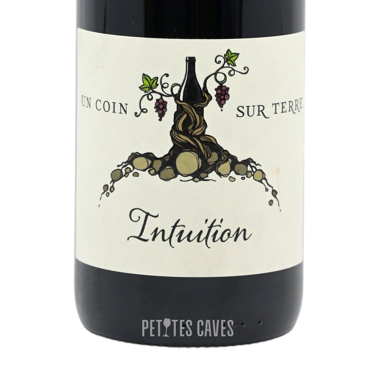 Intuition - Vin de France - vin méthode nature - Un Coin Sur Terre - Edouard  Sentex zoom